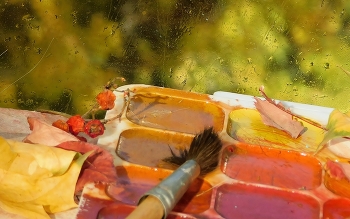 Осенняя акварель / ***