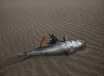 Рыба / Не рыба пила