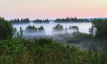 Прохладное утро / Летние рассветы