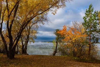 Падают листья. / ***
