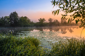 Румяный рассвет. / Озеро Сосновое.