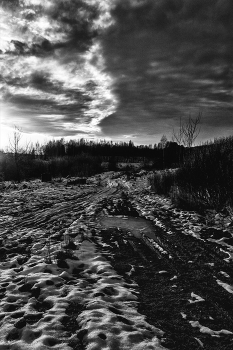 Жизнь вокруг / &quot;Простой щелчок чего-то, когда автор сам не понимает, зачем его сделал - это &quot;Жизнь вокруг&quot;&quot;(с)...)