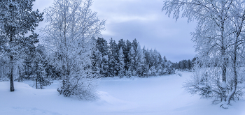 И холод тишиной владеет... / ...