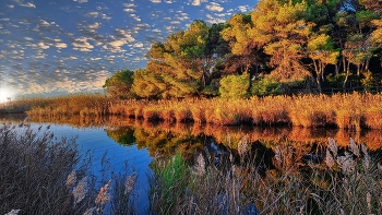 &nbsp; / Altafulla (Tamarit) - desembocadura riu Gaià - Tarragonès