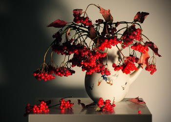 Калинушка / ***