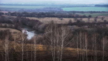 Декабрь за околицей села Уязытамак / декабрь, река, деревья, поля, Башкирия