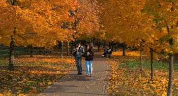 Осенью / Москва, Ходынка