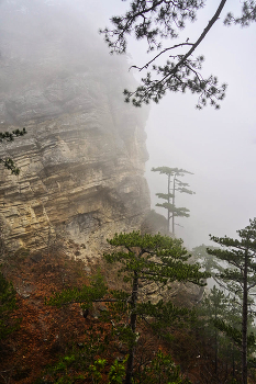 Туманный Ай-Петри / Крым, Ай-Петри. Скала над рекой Водопадной. Ноябрь