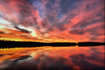 &nbsp; / Белое море