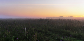 Утро в поле / Сюжеты лета