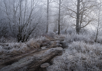 Лесная дорога / Рассвет. Первый мороз сковал льдом лужи...