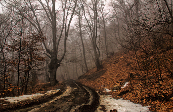 Горная дорога / Крым, Демерджи, зима