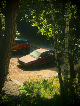 Во дворе / 2025