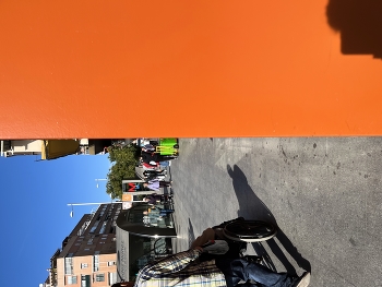 Контрасты бытия / ***