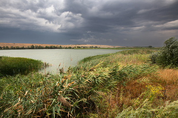 Поднимается ветер / ***
