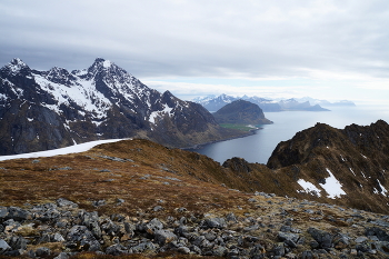 Ползущие к морю / ***