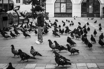 В окружении. / Боровск.