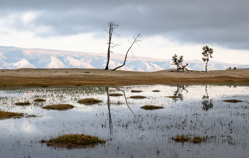 Осеннее одиночество / Иркутская область