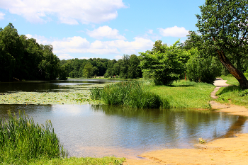 Верхний Кузьминский пруд / Верхний Кузьминский пруд в Кузьминском парке в Москве. Июнь 2024.