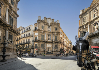 Все мы немного лошади... / ***