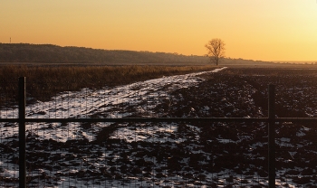Почти свобода / Февральские сельхозугодья. Вечерний сюжет из Подмосковья.