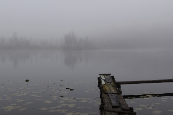 Безысходность ноября... / Когда придет зима?