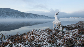 Смотрящий / р.Енисей, Красноярский край
