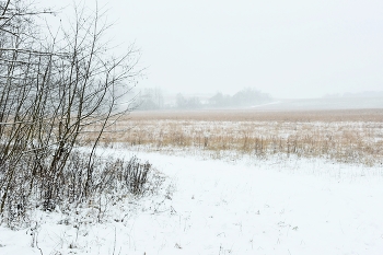 &quot;Межсезонье - странное время между осенью и зимой...&quot; / ***