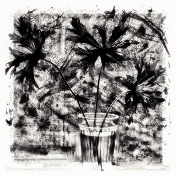 &nbsp; / мимкрия)