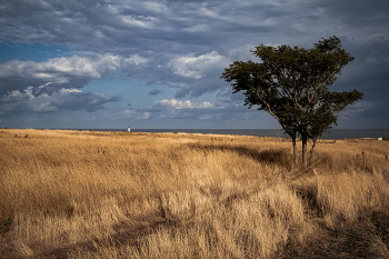 Дыхание Осени / ***