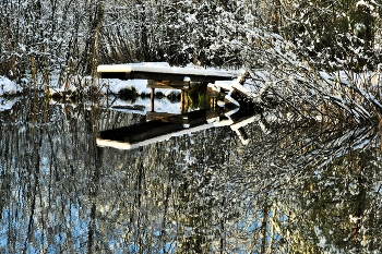 &quot;Еще вчера царила осень, а ночью снег засыпал все ...&quot; / Ноябрь ...