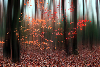 Осенний мотив / ***