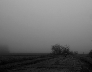 &nbsp; / туманы минувшего воскресенья