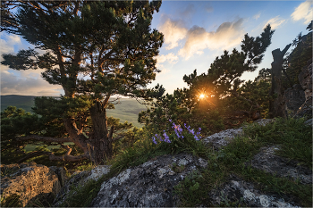 Закат в горах / Кавказ