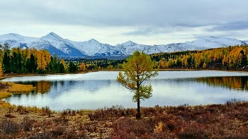 Алтай. Озеро Киделю. / Осень 2025 года. Озеро Киделю. Алтай.