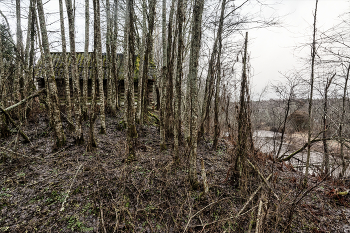 Жизнь вокруг / ***