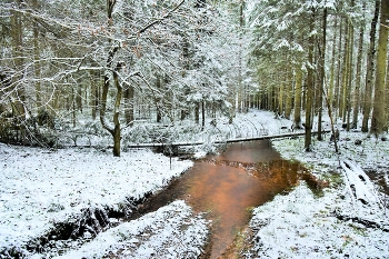 Наконец-то в декабре выпал первый снег ... / ***