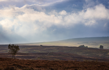 Осеннее небо / Осеннее небо, 2025