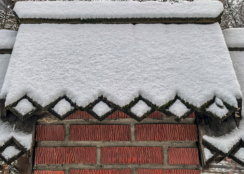 Первый снег, новый взгляд. / 10 декабря 2025 года. Первый снег, новый взгляд.