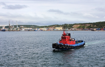 Буксир &quot;Добрыня&quot; / Буксир-кантовщик «Добрыня» («Dobrynya»), порт приписки Корсаков, был построен 15 ноября 1989 года. Судостроитель: Гороховецкий судостроительный завод, Владимирская область.
Основные характеристики: Тоннаж 182 тонны, дедвейт 57 тонн. Длина 29,32 метра, ширина 5,62 метра, максимальная осадка 3,91 метра. Скорость 11 узлов.