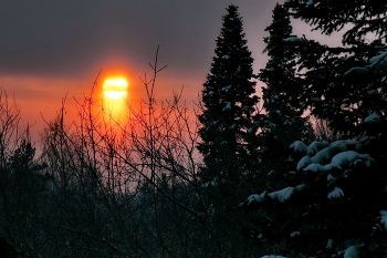 На закате. / *Томская область.**