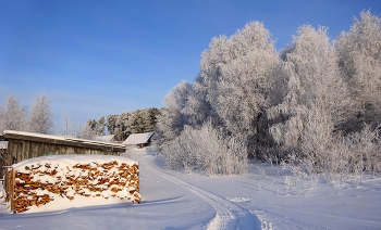 Деревенская окраина / Сибирское село