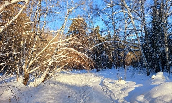 декабрь / новосибирск