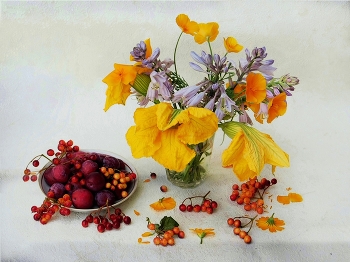 &nbsp; / натюр с цветами тыквы и фруктово-ягодным ассорти