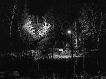 Жизнь вокруг / ***