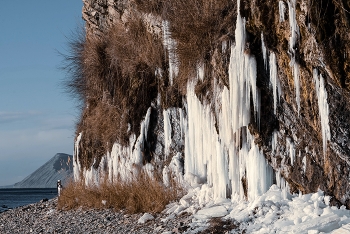 Органный зал / ***