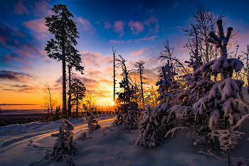 Зимнее утро / Уральская природа