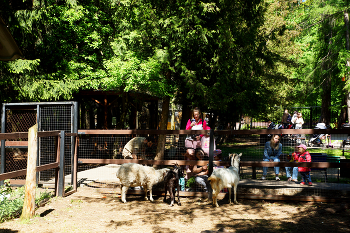 Зоопарк / Зоопарк в Кузьминском парке в Москве. Май 2024.