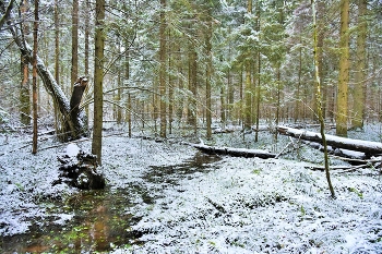 Не скованный стужей ... / &quot;И течет безмолвно радостью нечаянной,
 Стужею не скованный, небольшой ручей ...&quot;
 Ю.Баранов