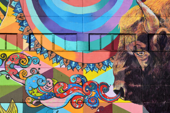 Зубр / Минск